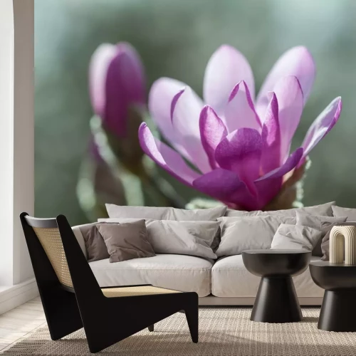 Sticker Donkerpaarse magnolia in bloei