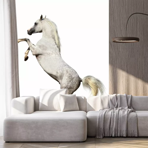 Fotobehang Op twee benen staand paard