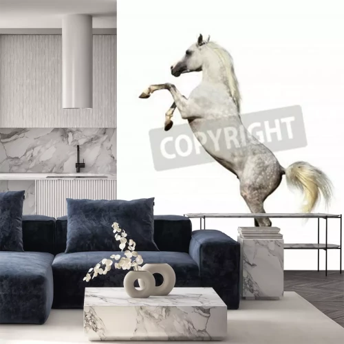 Fotobehang Op twee benen staand paard