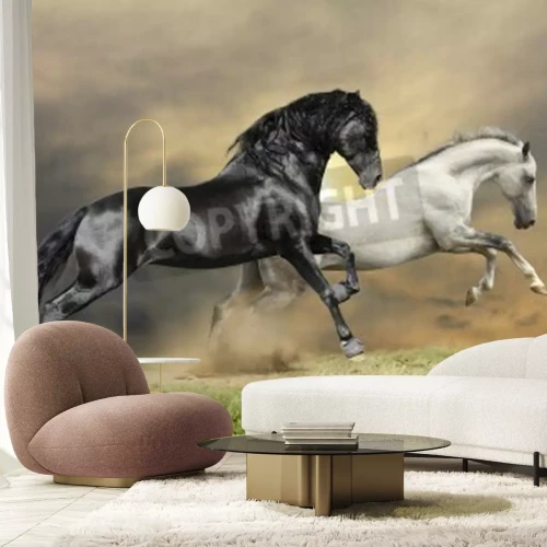 Fotobehang Galopperende paarden door de weide