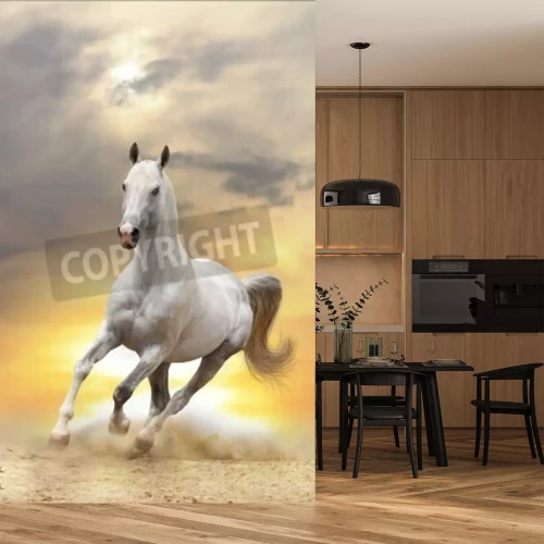 Fotobehang Majestueus paard in de woestijn