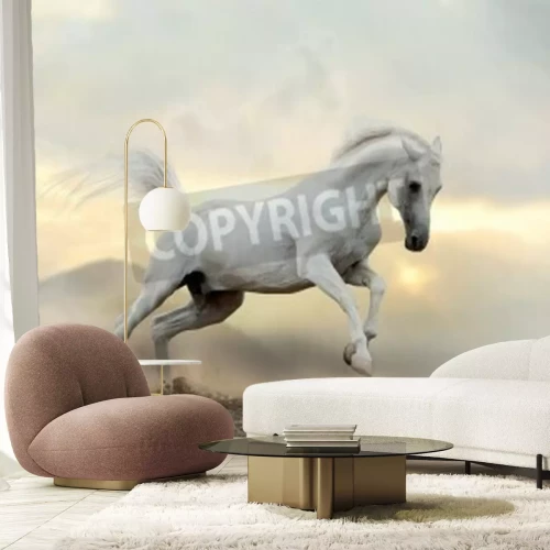 Fotobehang Paard in grijs stof