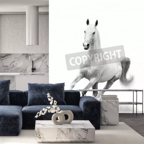 Fotobehang Wit paard op een zandweg