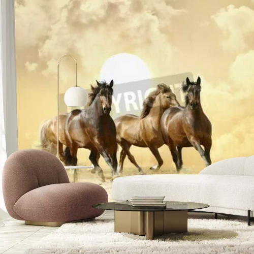 Fotobehang Kudde paarden op een achtergrond van zon