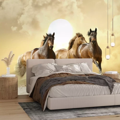 Fotobehang Kudde paarden op een achtergrond van zon