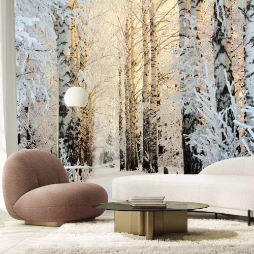 Fotobehang Winter in een berkenbos