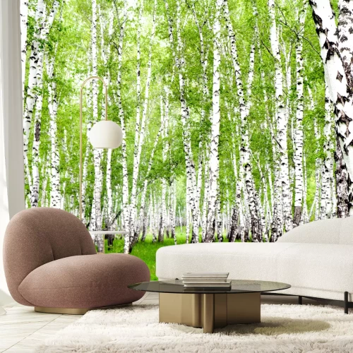 Fotobehang Berken in verzadigde kleuren