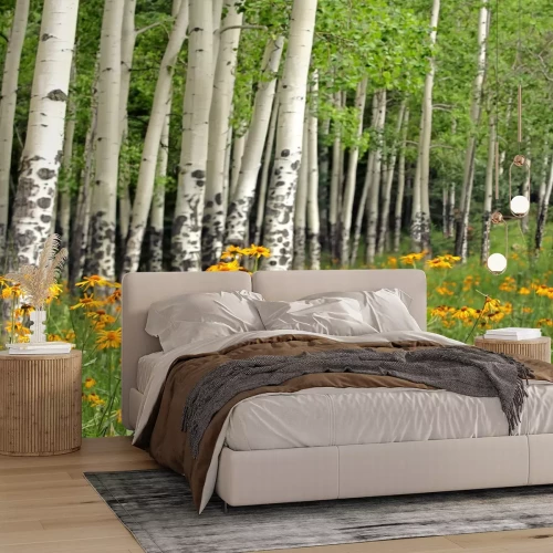 Fotobehang Berken en gele bloemen