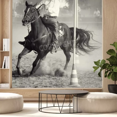 Fotobehang Hengst met ruiter bij rodeo