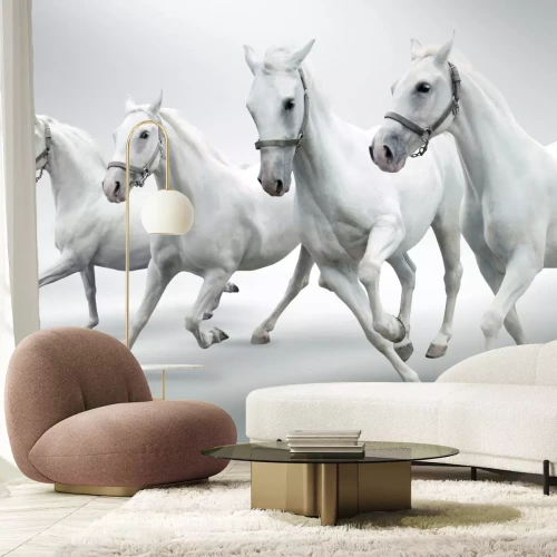 Fotobehang Wit paard op grijze achtergrond