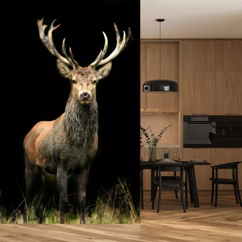 Fotobehang Dier staat in de schaduw