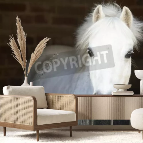 Fotobehang Paard in een stal