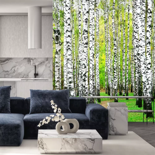 Fotobehang Pad door een berkenbosje