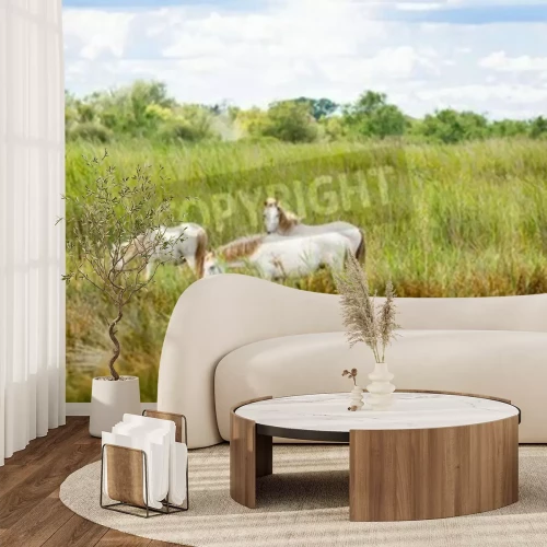 Fotobehang Paarden grazen op een weide