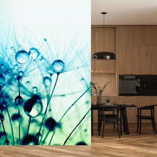 Fotobehang Turquoise-gekleurde paardenbloem zaden