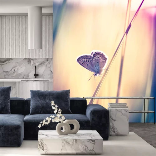 Fotobehang Mot op een grasspriet