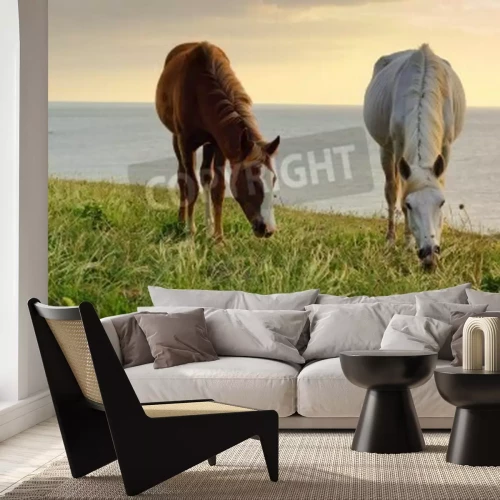 Fotobehang Grazende paarden