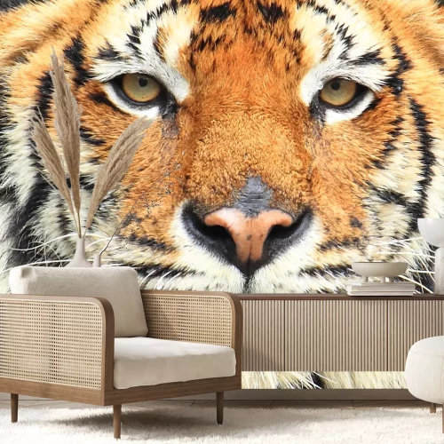 Fotobehang Portret van wilde tijger