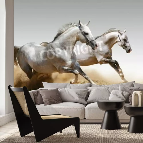 Fotobehang Renpaarden