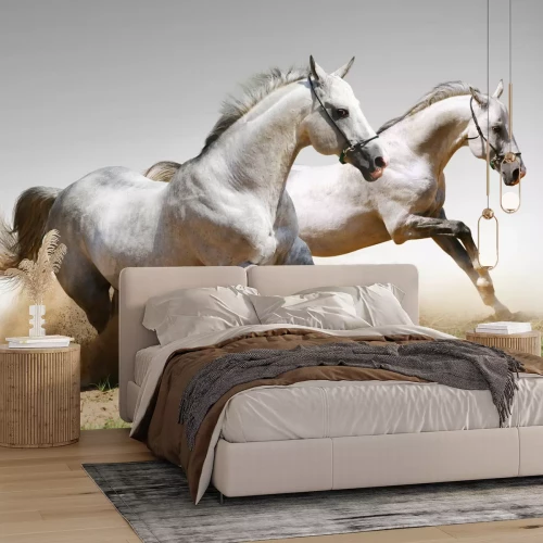 Fotobehang Renpaarden