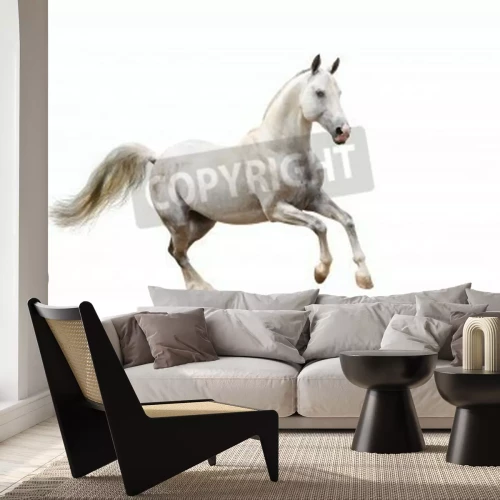 Fotobehang Hengstenpatroon op witte achtergrond