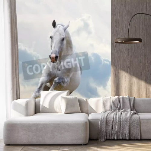Fotobehang Wit paard op de hemelachtergrond