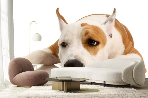 Visualisatie van het product