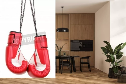 Visualisatie van het product