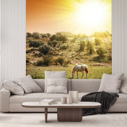 Fotobehang Zonnig landschap met een paard
