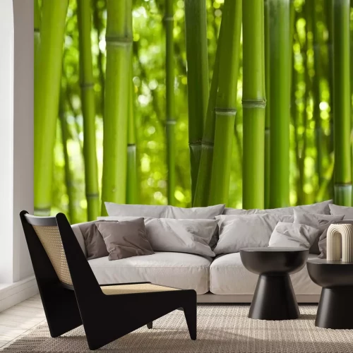 Fotobehang Groen bamboebos