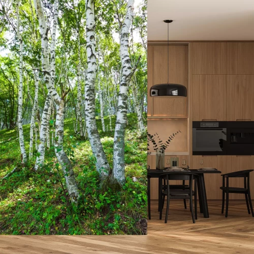 Fotobehang Berken in een Chinees bos