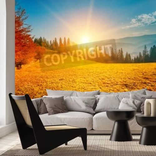 Fotobehang Herfstlandschap en zonsopgang