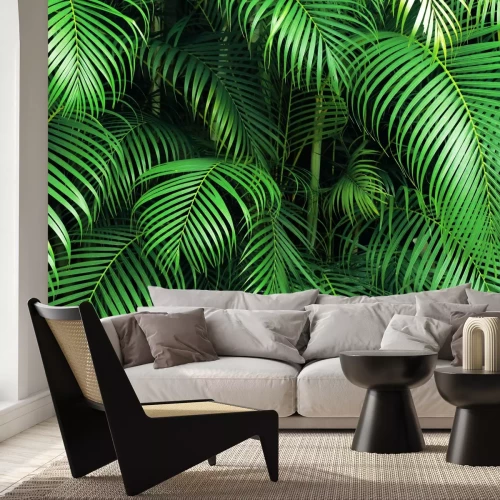 Fotobehang Palmbladeren in de jungle