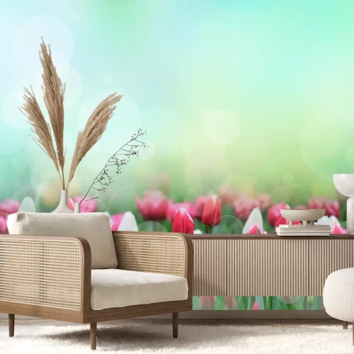 Sticker Witte en rode tulpen