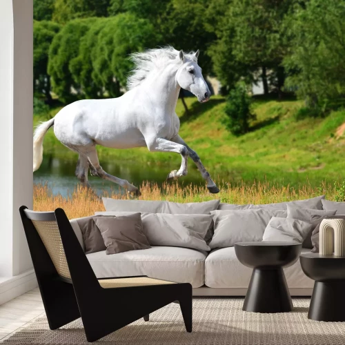 Fotobehang Merrie loopt door een weide