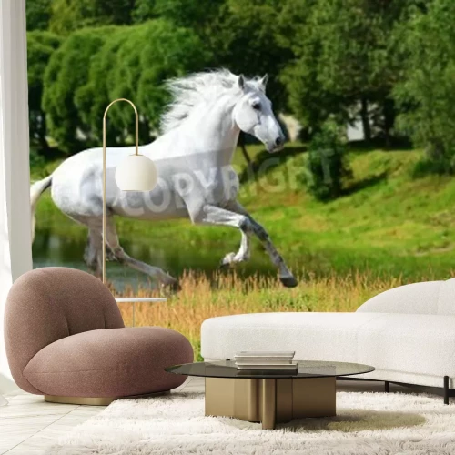 Fotobehang Merrie loopt door een weide