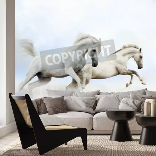 Fotobehang Twee paarden die springen