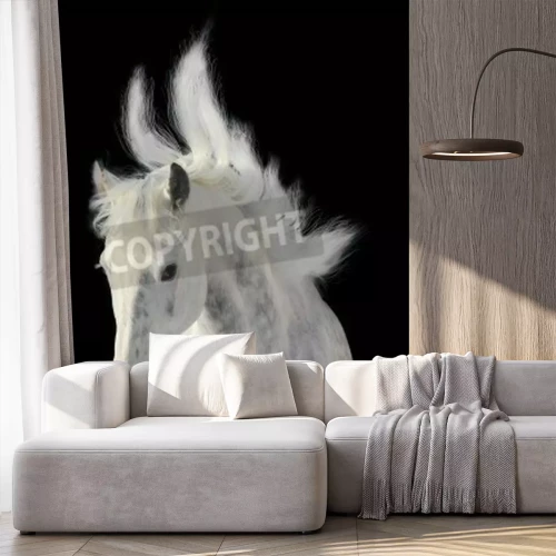 Fotobehang Dier met verwaaide manen