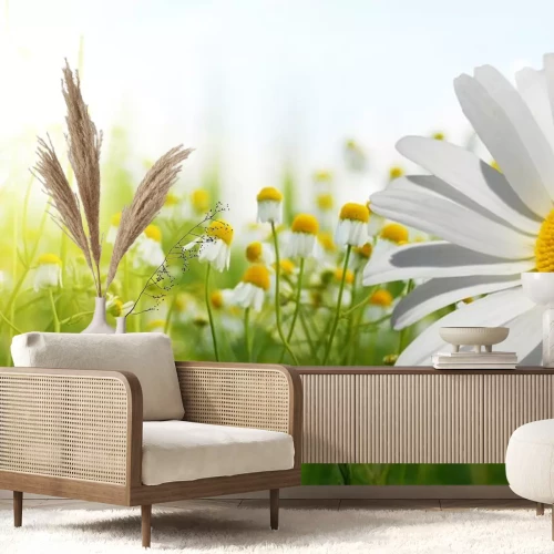 Sticker Veldbloemen in de zon