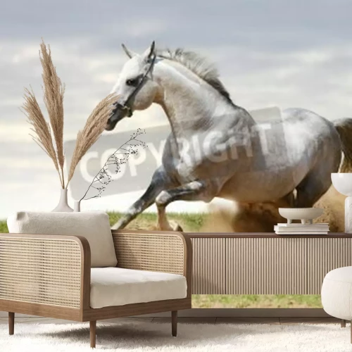 Fotobehang Paard rent op zand