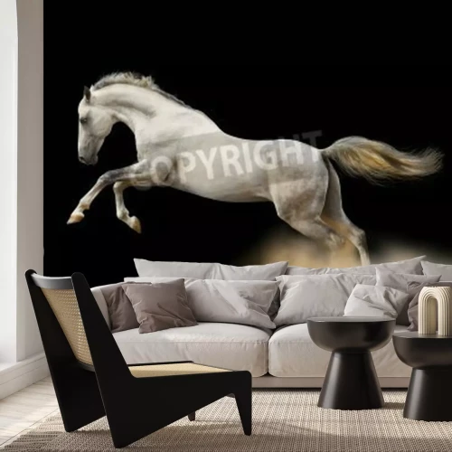 Fotobehang Springend paard op donkere achtergrond