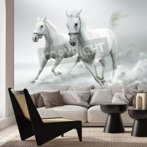 Fotobehang Wit paard in het stof