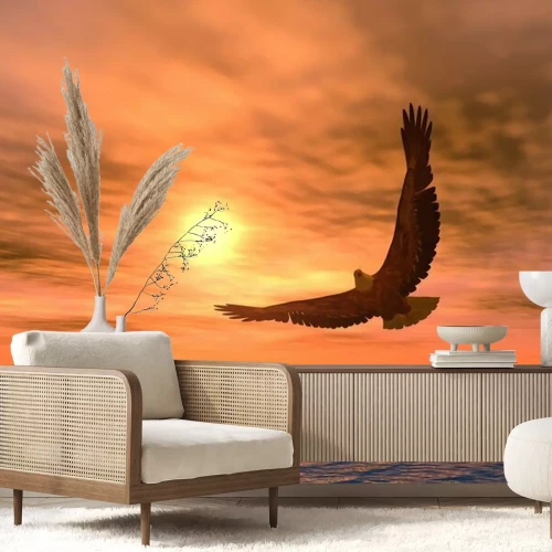 Fotobehang Een adelaar op de achtergrond van de ondergaande zon