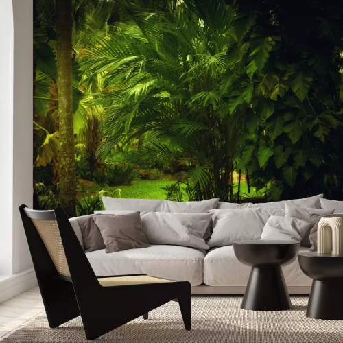 Fotobehang De jungle en donkere bomen