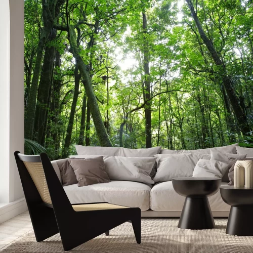 Fotobehang Bomen in het tropisch woud