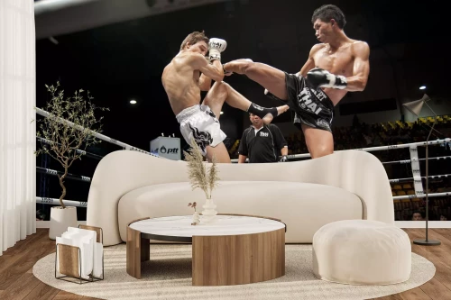 Visualisatie van het product