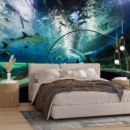 Fotobehang Tunnel in oceanarium met haaien