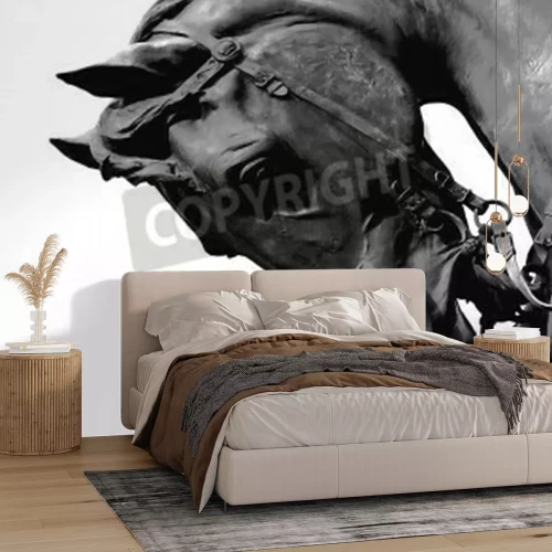 Fotobehang Zwarte hengst op een lichte achtergrond