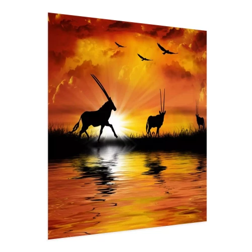 Visualisatie van het product