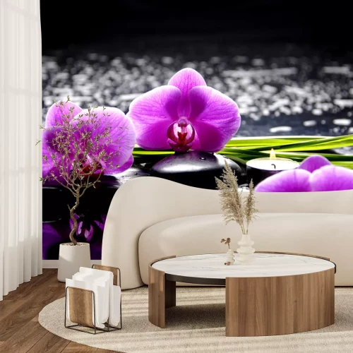 Sticker Spa stilleven met set van roze orchidee en stenen reflectie